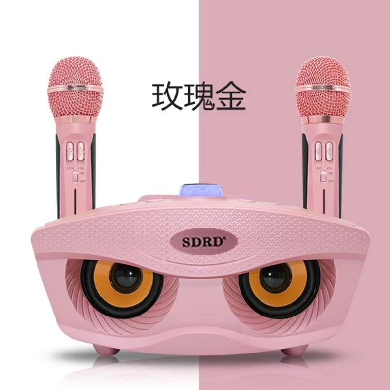 Máy Hát Karaoke Điện thoại di động SD306, Máy Hát Karaoke, Loa đôi, loa đôi