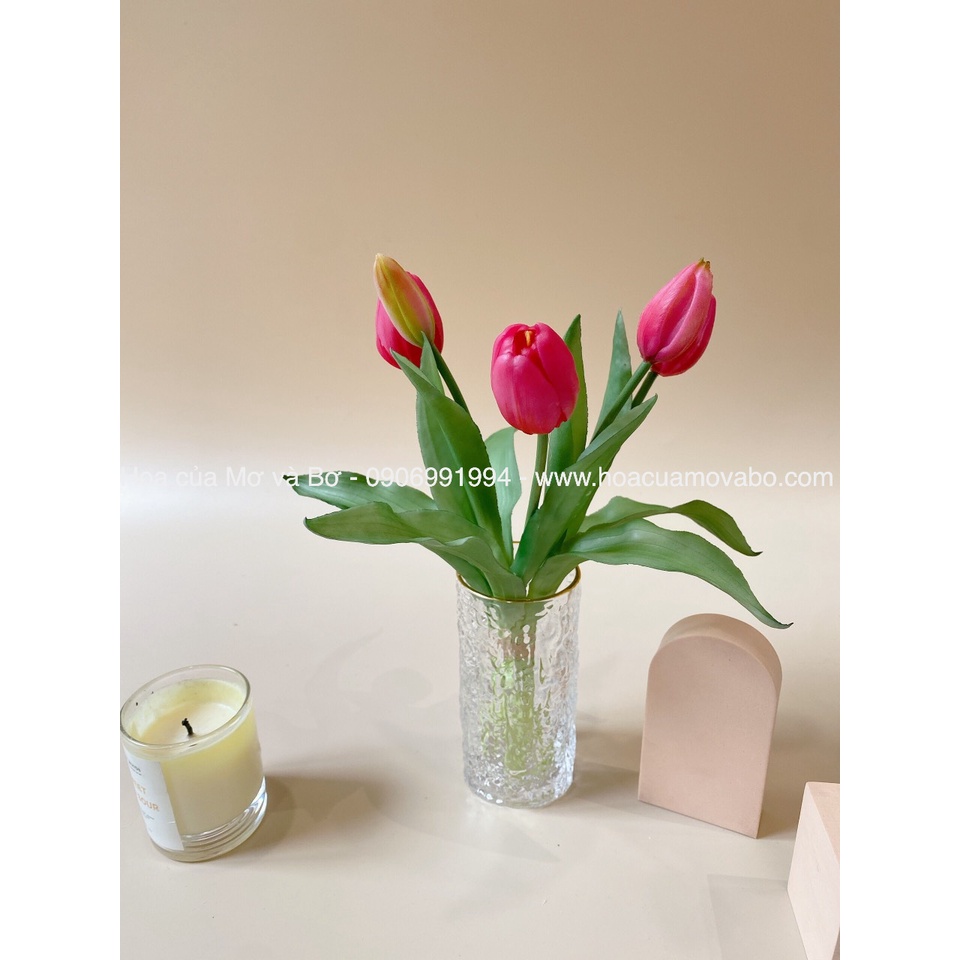 Bó 5 Bông Hoa Tulip Giả Nhiều Màu Cao Cấp Merber (Mơ &amp; Bơ) Bó 3 Bông Hoa 2 Nụ Hoa - Hoa Decor Trang Trí Nhà, P.Khách