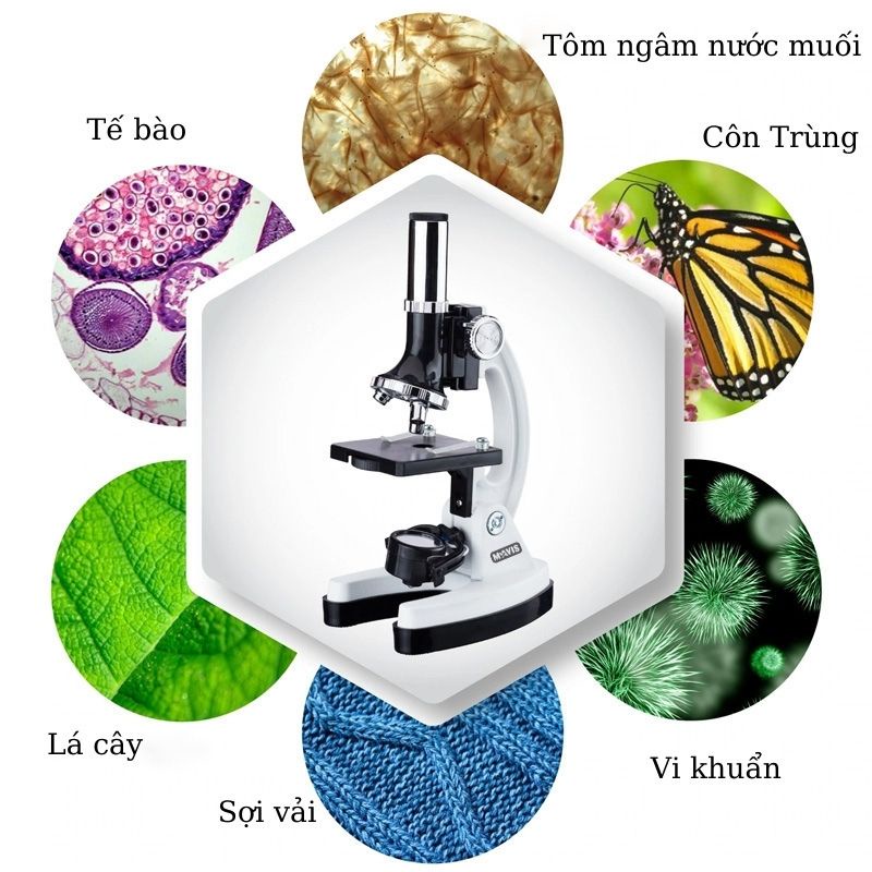 Bộ kính hiển vi khám phá cho trẻ em Mavis Wisdom 1200x, trang bị đầy đủ phụ kiện để nghiên cứu giáo dục STEM