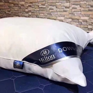 Cặp ruột gối lông vũ Hilton