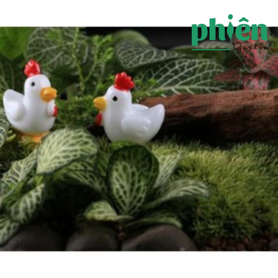 Gà con trang trí tiểu cảnh, sen đá, terrarium, Phụ kiện Tiểu cảnh mini