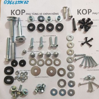 bộ ốc bắt dàn áo xe DREAM -KOPT