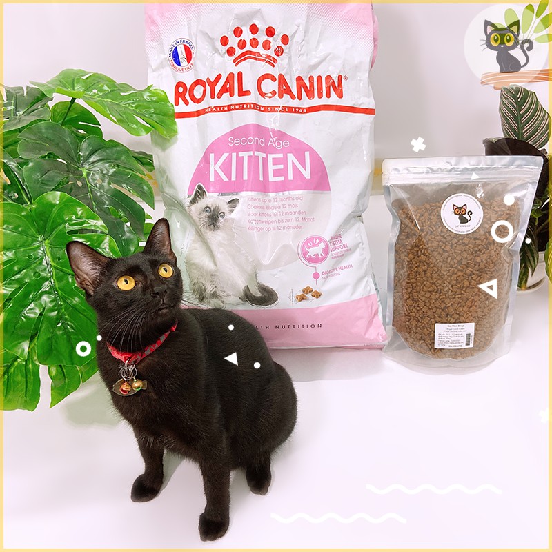 Thức ăn cho mèo Royal Canin Kitten 1kg