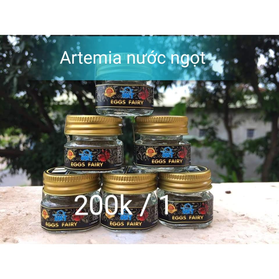 Artemia Nước Ngọt UHT Dạng Hủ - Artemia nuôi sinh khối - Guppy Xanh