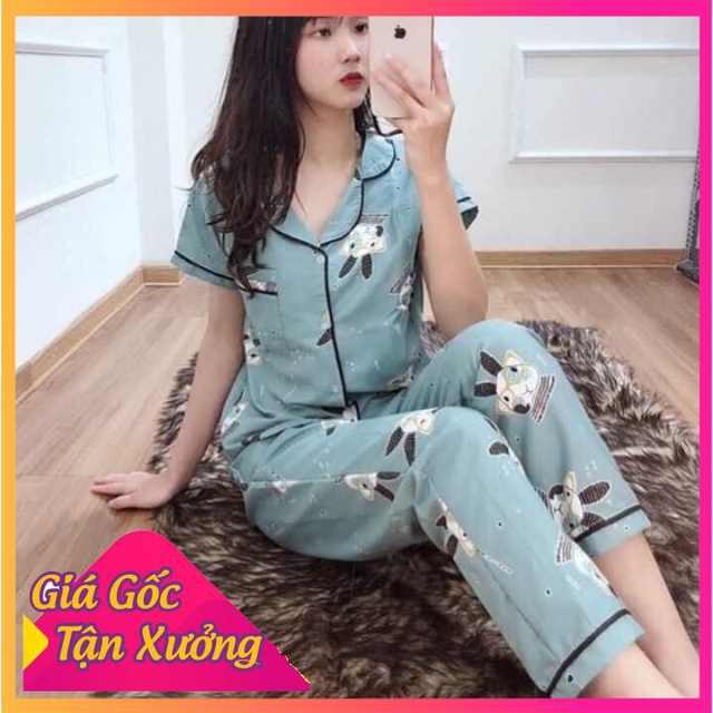 🌈HOT SALE🌈 Pizama Tay Ngắn Quần Dài size 40-55kg (ib chọn mẫu)