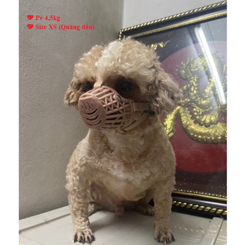 RỌ MÕM CHÓ BẰNG LƯỚI NHỰA THOÁNG MÁT (ĐO VÒNG MIỆNG BÉ TRƯỚC KHI CHỌN SIZE Ạ) -  LOVE PETS SHOP