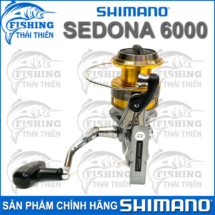 Máy câu cá Shimano Sedona 6000