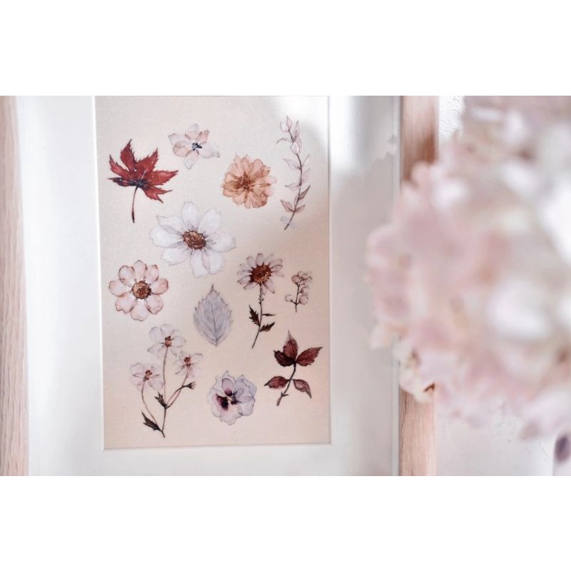 Krisna.room ♡ Freckles tea vol.1- 1 chu kì 77cm cuộn băng dán hình hoa Flower Letter trang trí sổ