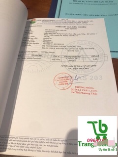 VIên tinh bột nghệ mật ong 500gr