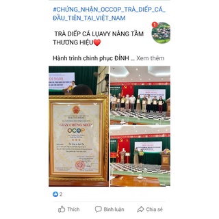 TRÀ DIẾP CÁ VY LỤA (trà túi lọc tiện dụng)