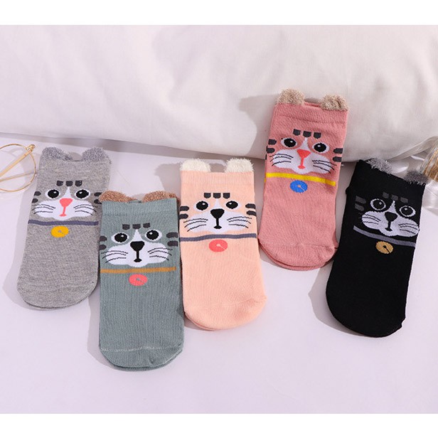 Combo 05 đôi tất / vớ nam/nữ cao cấp có hộp đựng (Loại 1)