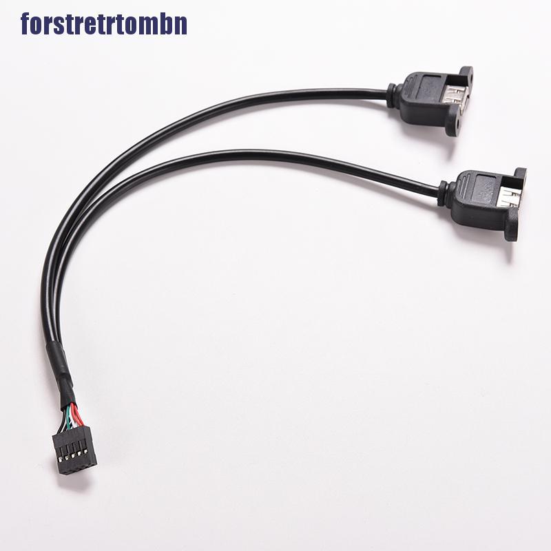 1pc Black 30cm / 1ft 2 Port Usb A Female To Inter 9 Pin Header Ada | BigBuy360 - bigbuy360.vn
