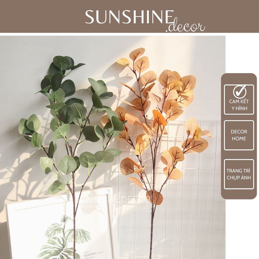 Lá bạch đàn cao cấp trang trí nhà cửa chụp ảnh phong cách Bắc Âu-90 cm