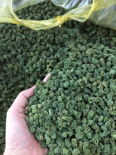 [GIÁ SỈ] 1Kg NỤ HOA TAM THẤT BAO TỬ VIP