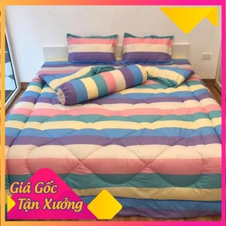 Bộ chăn phao ga gối 5 món cotton poly