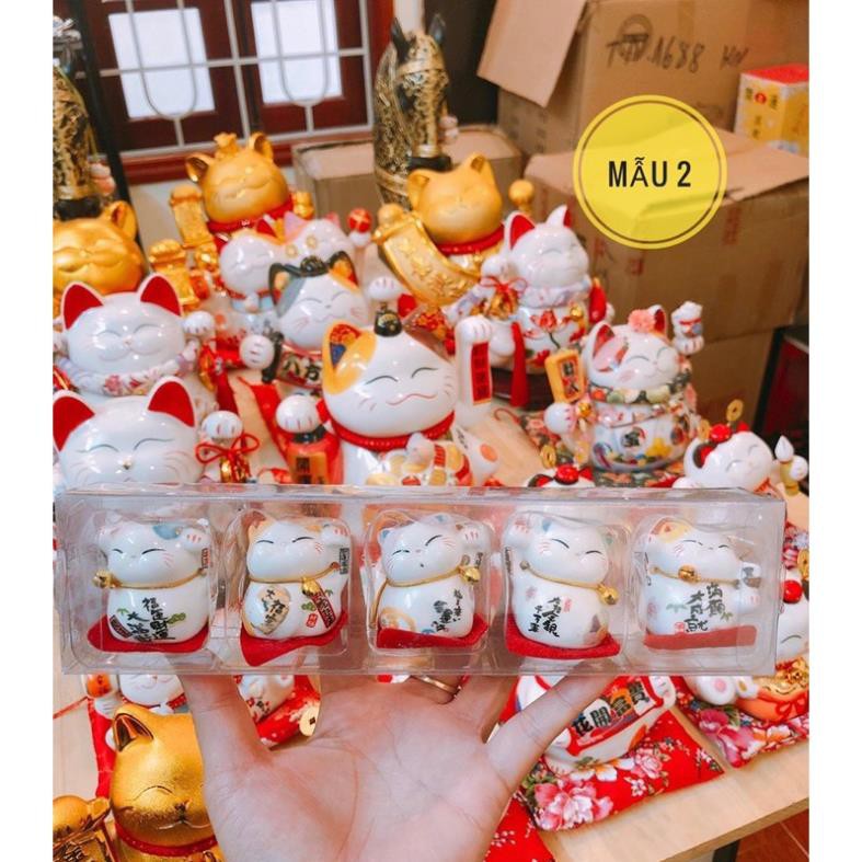 Bộ 5 mèo thần tài mini trang trí, trưng bày góc làm việc, học tập