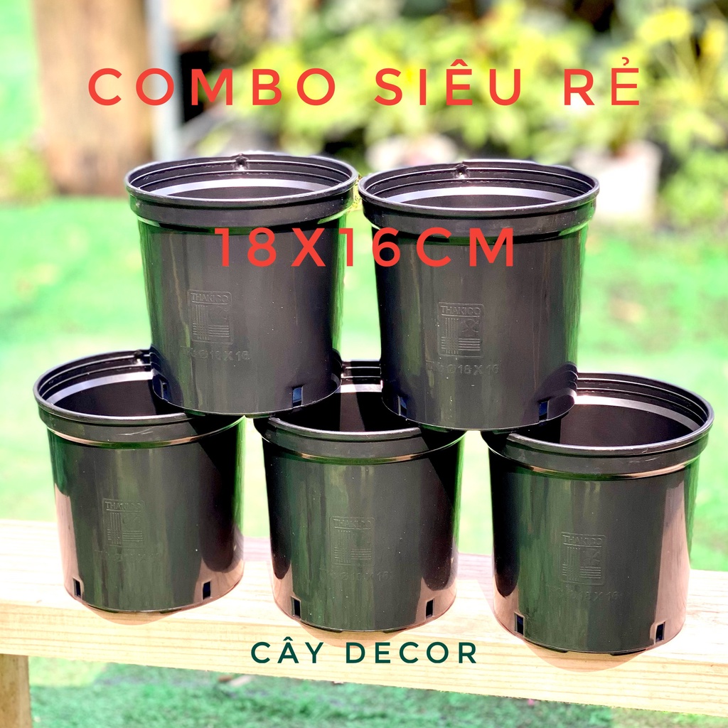 [COMBO RẺ] 10 Chậu đen 18x16cm, rẻ, bền, đẹp lại siêu tiết kiệm