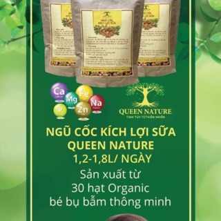 Combo 2 bịch ngũ cốc lợi sữa queen nature