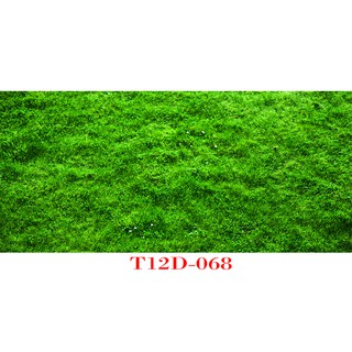 Tranh 3d bể cá mã t12d-068 kt