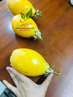 Chanh leo vàng ngọt colombia