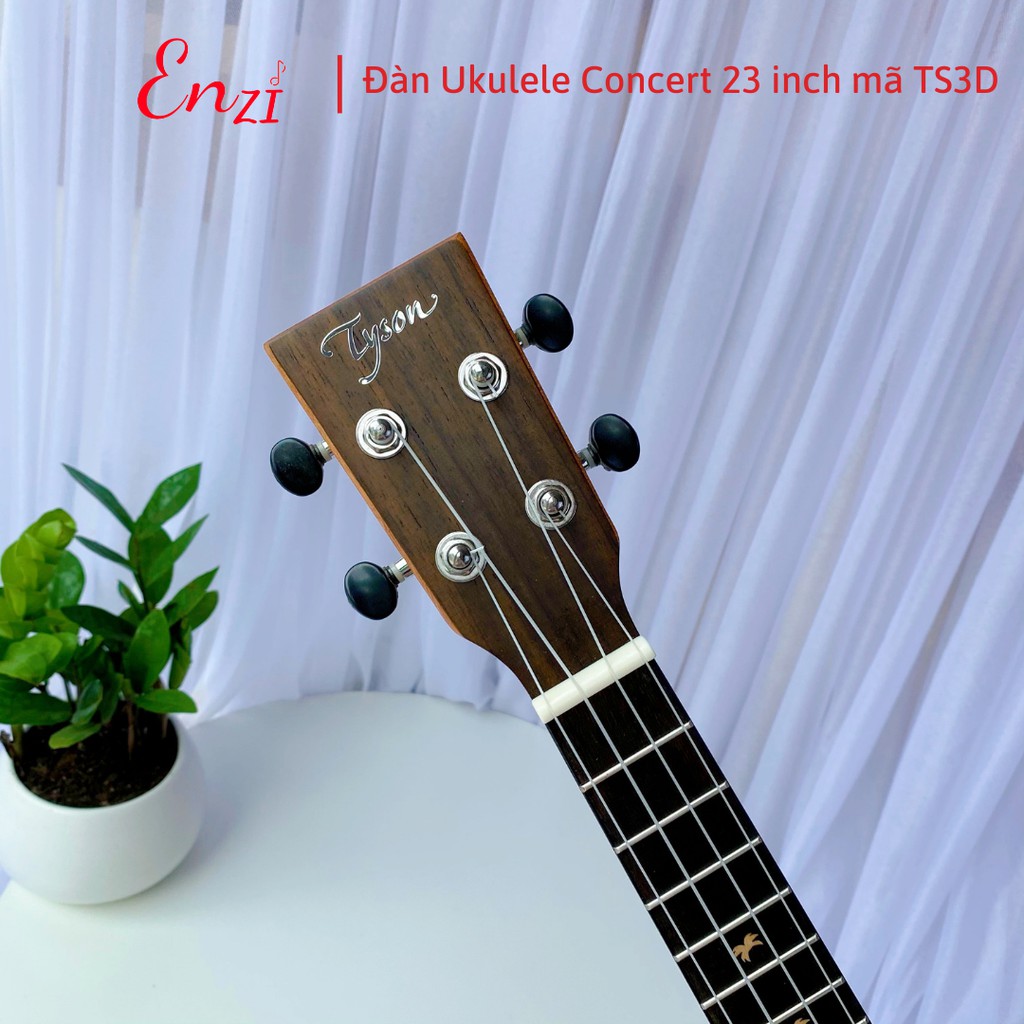 Đàn ukulele concert TS3D Enzi 23 inch gỗ mộc họa tiết cây dừa khóa đúc giá rẻ cho bạn mới bắt đầu tập chơi