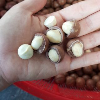 Macca Sấy Đã Nứt Vỏ Daklak - 500Gr