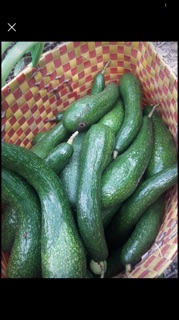 Bơ 034 Lâm Đồng 35 - 58k / 1kg