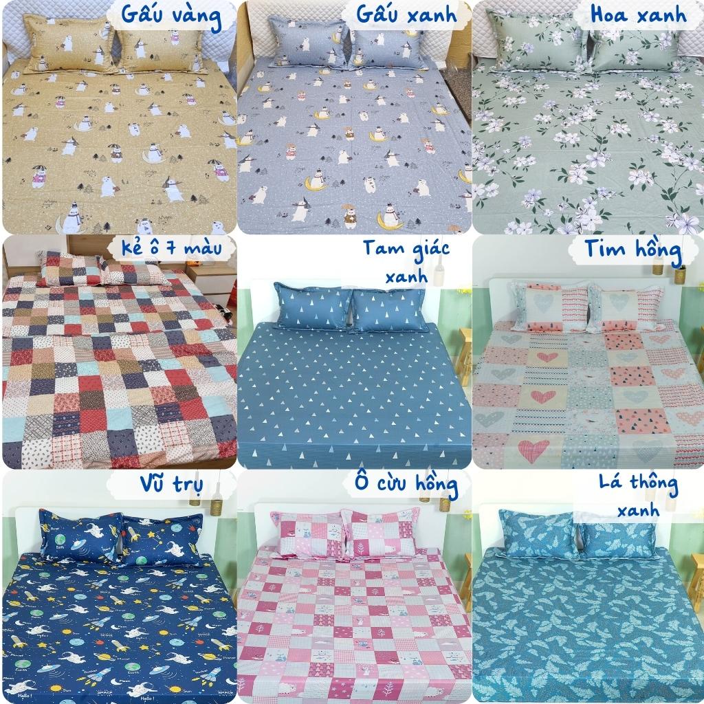 Bộ ga gối cotton Hàn Quốc cao cấp, ga chun đủ size đệm 1m2 1m6 1m8 2m2 Dreamhomebedding | BigBuy360 - bigbuy360.vn