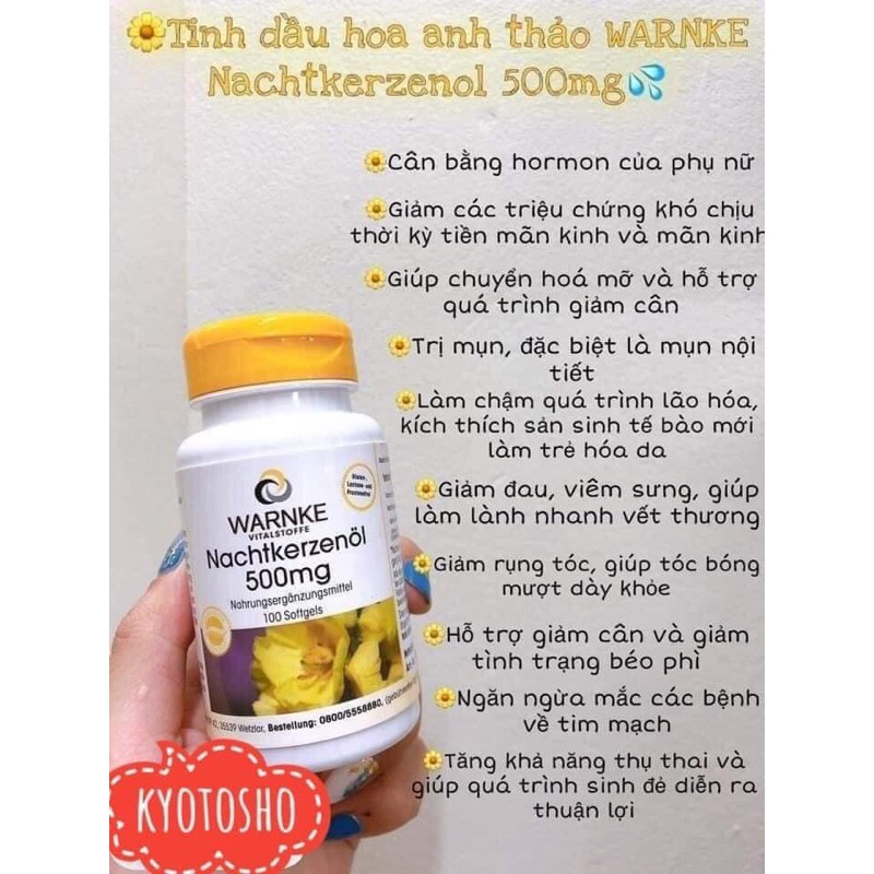 NỘI ĐỊA ĐỨC] Tinh Dầu Hoa Anh Thảo Warnke 500mg hộp 100 viên | BigBuy360 - bigbuy360.vn