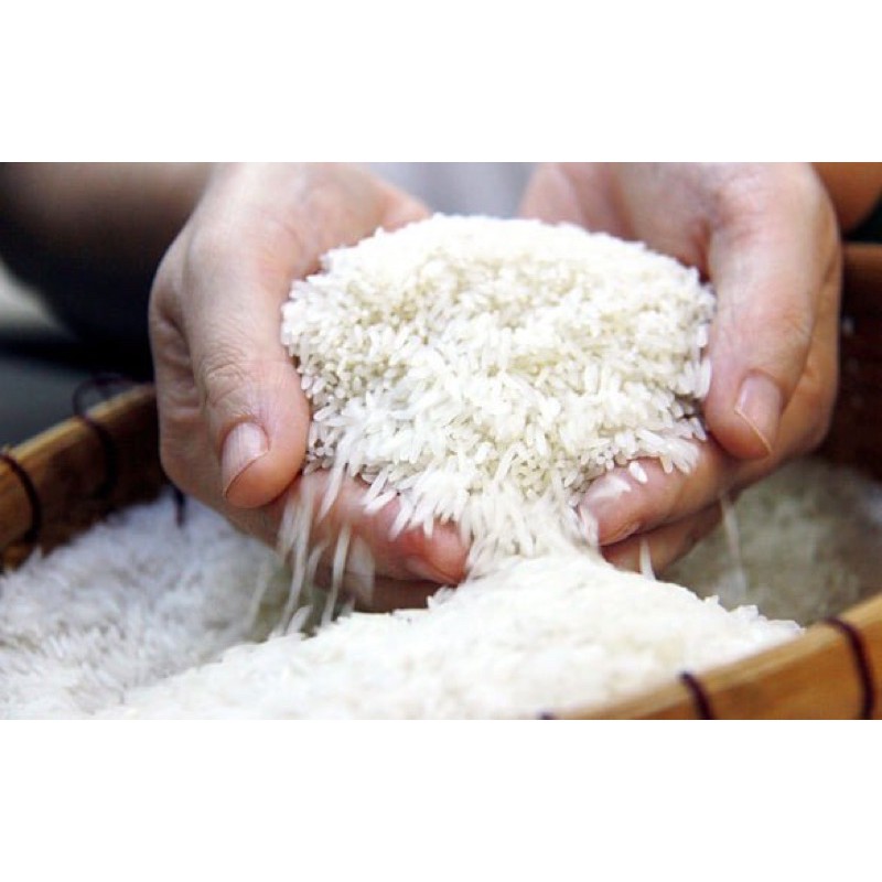 (DTFood-CHUYÊN SỈ) GẠO ST25 THƯỢNG HẠNG ĐẶC SẢN SÓC TRĂNG