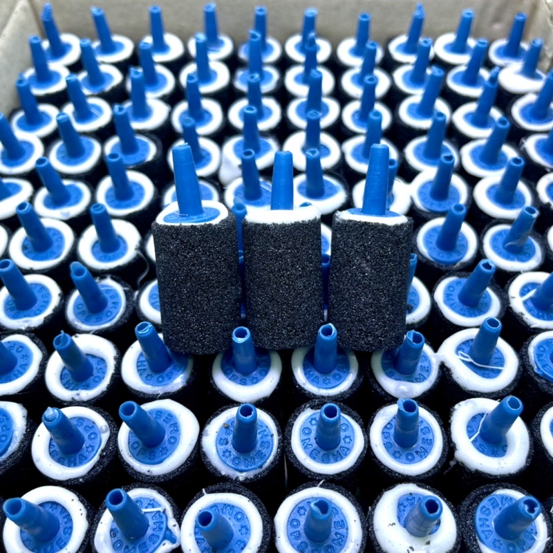 Máy sủi oxi 1 vòi - 2 vòi
