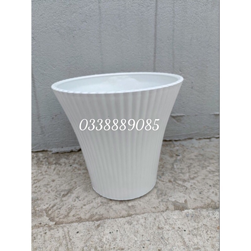 Chậu nhựa nữ hoàng trồng cây derco siêu đẹp, video, hàng sẵn kho