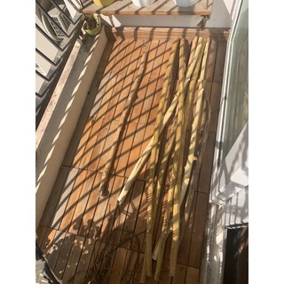 Cành cây tự nhiên trên 1m