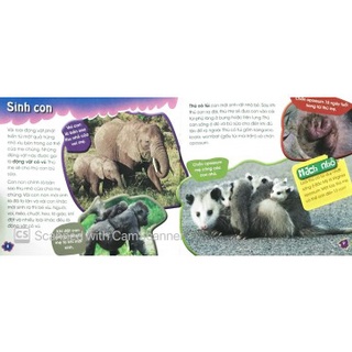 Sách - Độc, Lạ, Phi Thường - Thú Con Bé Bỏng