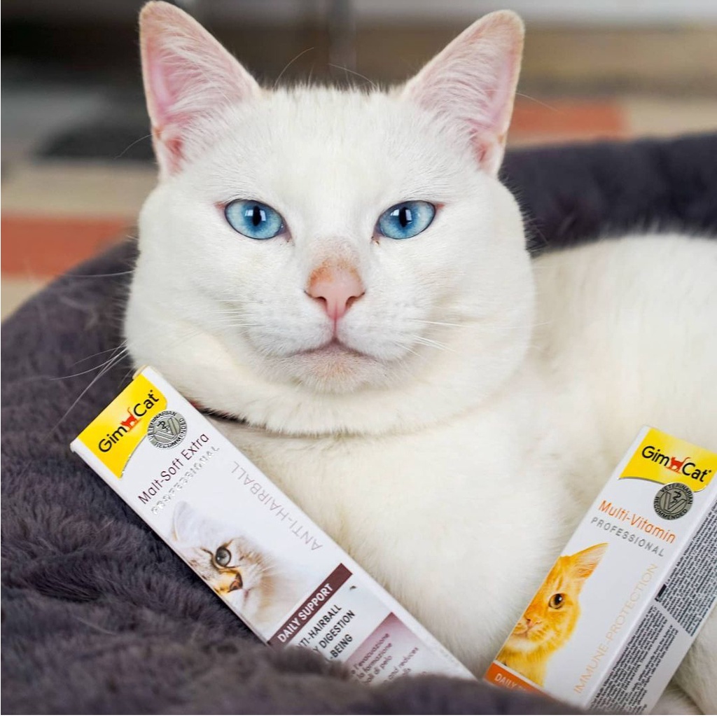 Gel dinh dưỡng cho mèo Gimcat Multi vitamin giúp tăng cường miễn dịch 50gr- xuất xứ Đức