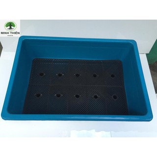 Combo 5 Chậu nhựa trồng rau cỡ lớn Khay trồng rau thế hệ mới size 67cm x 45cm x 21cm maù xanh dương