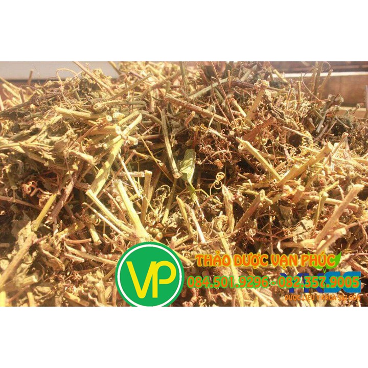 Cây lạc tiên - nhãn lồng - Dây chùm bao 1kg | BigBuy360 - bigbuy360.vn