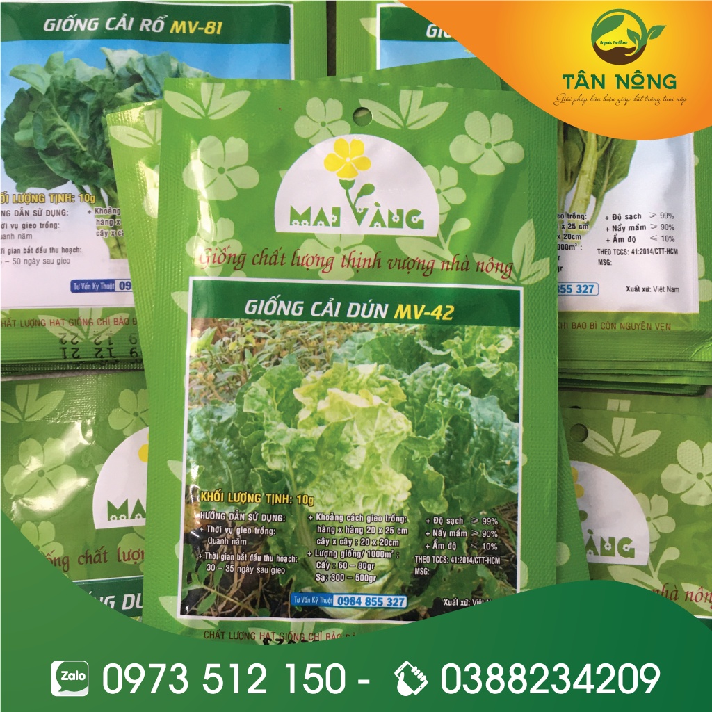 [gói 10g] Hạt Giống Cải Bẹ Dún