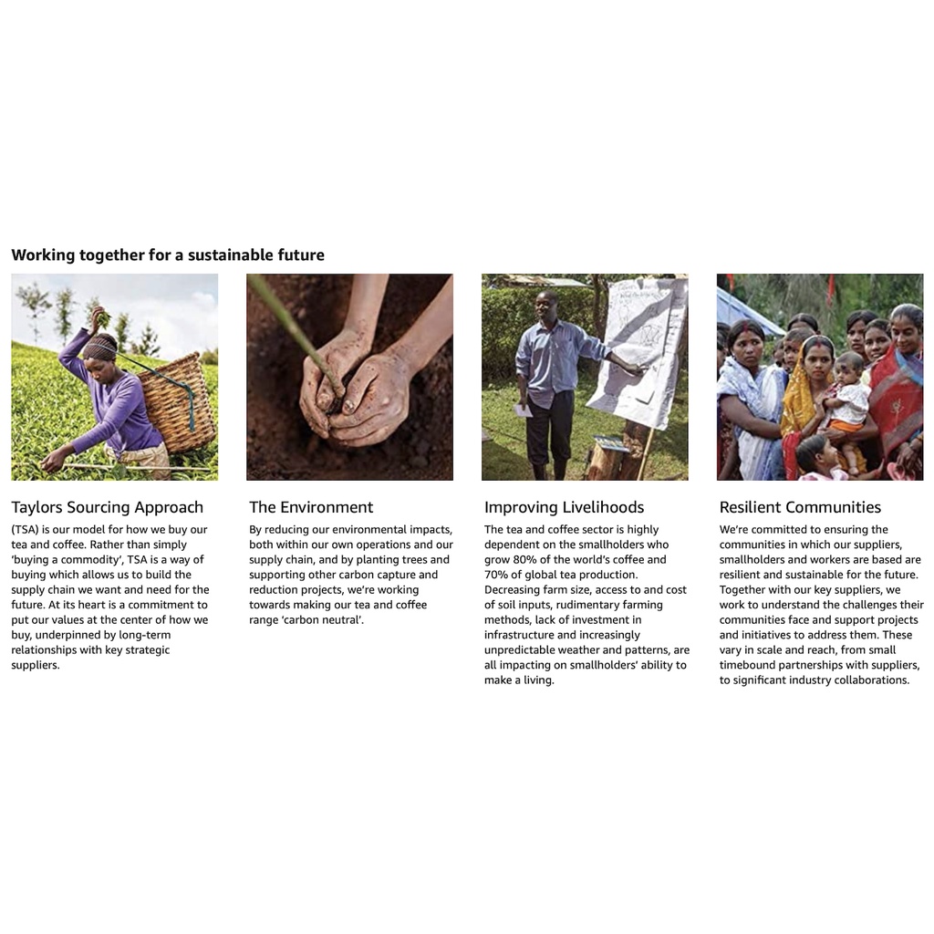 HỘP 48 GÓI 8 VỊ TRÀ Taylors of Harrogate Assorted Specialty Teas Box, 111g