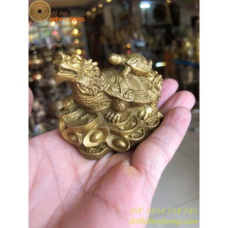 Long quy cỡ nhỏ cao 7cm - rùa đầu rồng- lq12