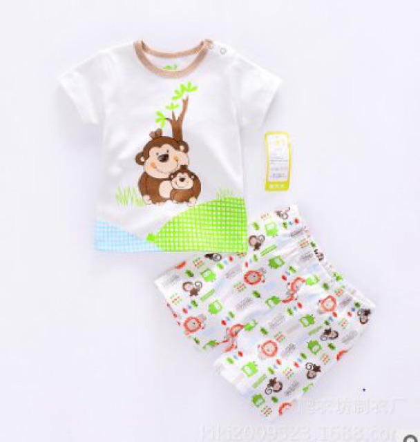 Bộ quần áo bé trai/bé gái mùa hè Cotton Payifang