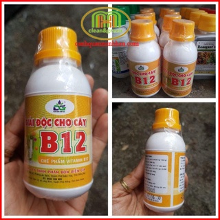 B12 Giải Độc Cây 100ml- Vitamin B12 - Chống Sốc Cây Kiểng - Giải Độc Phong Lan