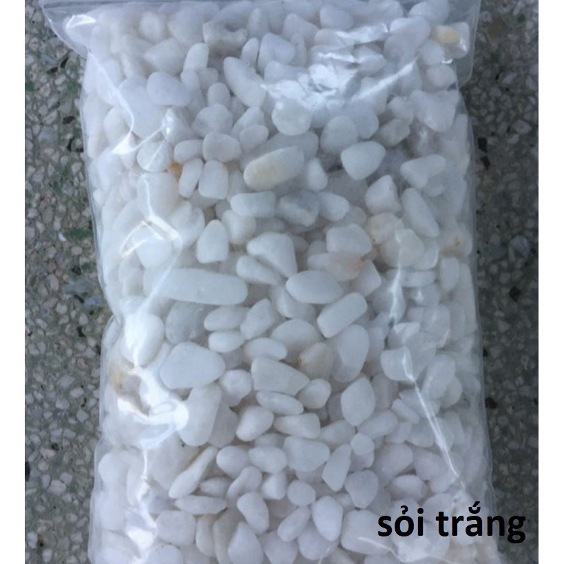 Bể Kính Đúc MJ 260 Tích Hợp Sẵn Bơm, Đèn, Máng Lọc, Kích Thước 26x17x29cm