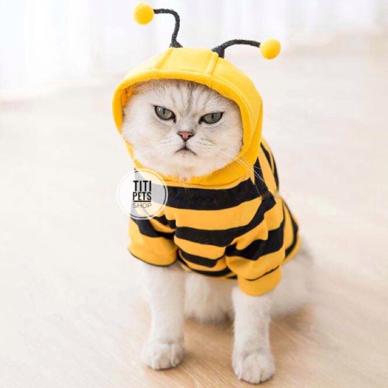 Áo Ong Vàng Có Nón Cho Chó Mèo Thú Cưng