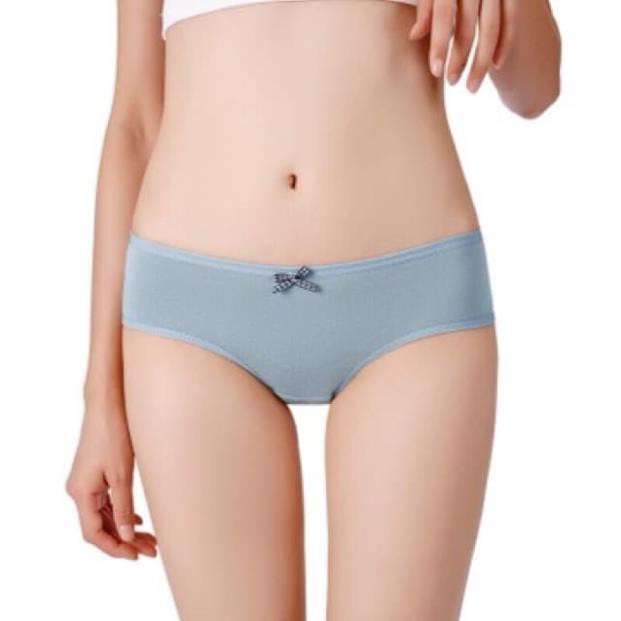 Quần Lót Nữ Cotton Loại 1 Kháng Khuẩn Siêu Mềm Mịn Thoáng Khí Co Giãn 4 Chiều Đính Nơ Nhỏ Dễ Thương | BigBuy360 - bigbuy360.vn