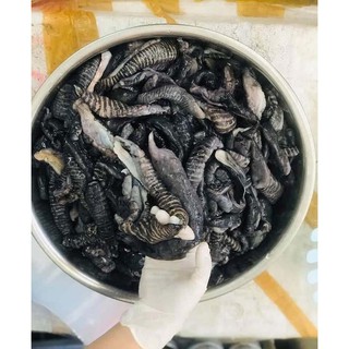 [GIAO HOẢ TỐC HN] (Hàng chuẩn) Nấm Biển Tươi Siêu Giòn, vị hải sản có thể chế biến đa dạng (500gram)