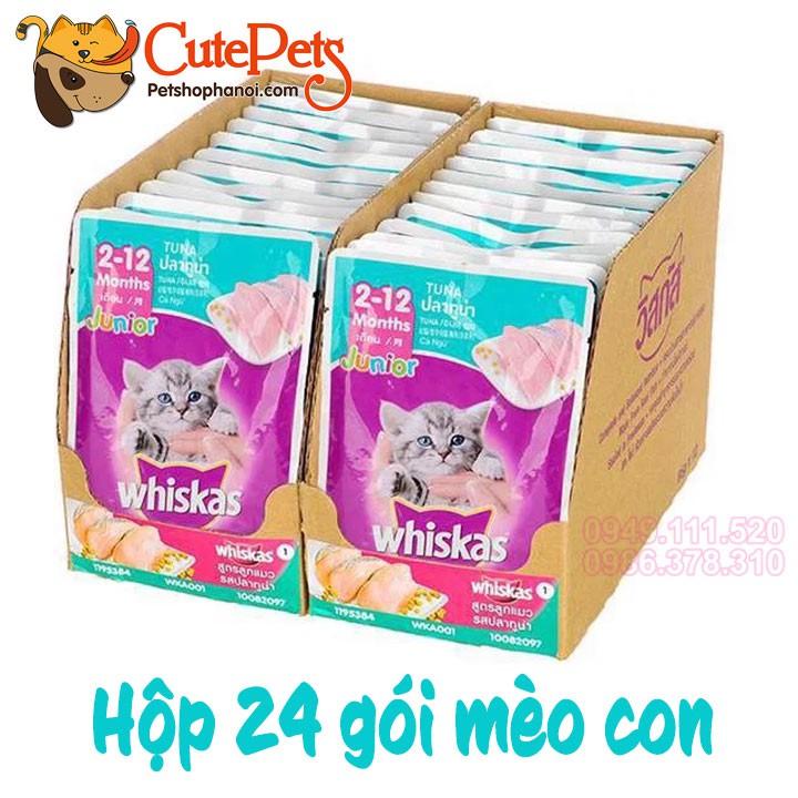 Pate cho mèo con Whiskas Junior 80g 2 vị cá ngừ và cá thu - CutePets