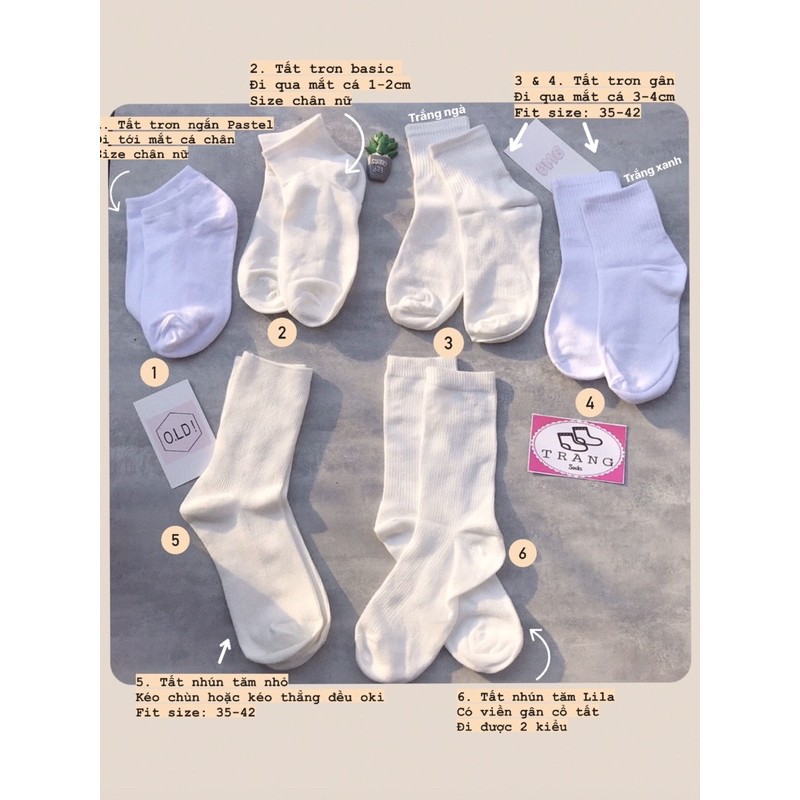 Tất trơn tone màu trắng  - Trangsocks
