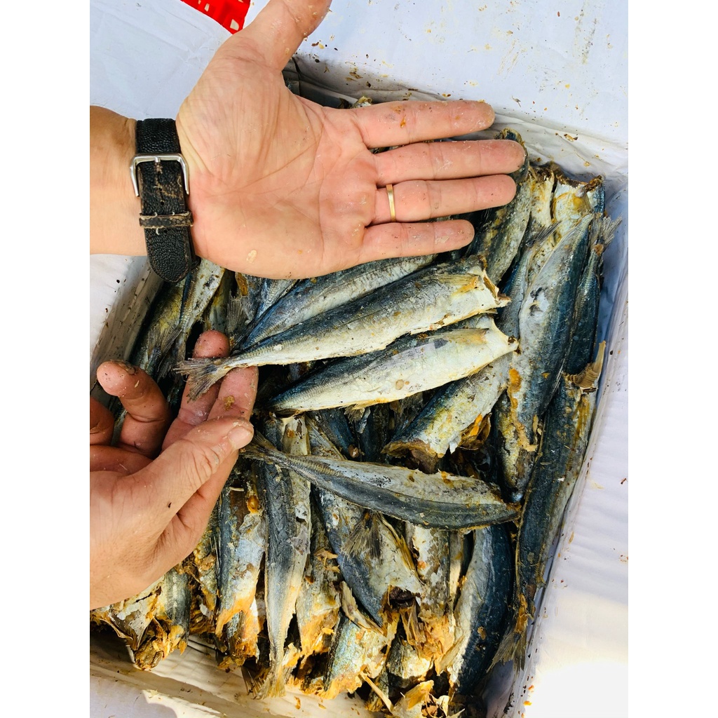 Các loại khô cá ngon - Khô cá Nục bỏ đầu loại To, thịt Dai, Thơm ngon giàu Dinh Dương-100% tự nhiên 1kg, 500gr, 100gr | BigBuy360 - bigbuy360.vn