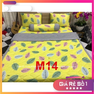 Bộ drap thun lạnh hàn quốc mẫu lá 4 món